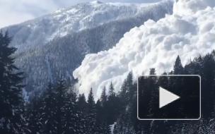 Генпрокуратура официально объявила причину гибели туристов на перевале Дятлова