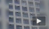 Бесстрашное видео: Енот - "паук" взобрался на 23 этаж