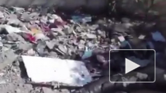 Появилось видео из Италии: на юге страны рухнул жилой дом