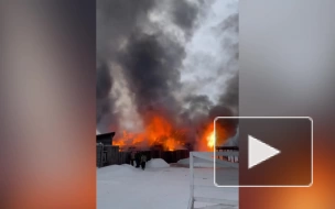 Видео: в Ленобласти 20 пожарных тушили пожар на 1 000 "квадратов"