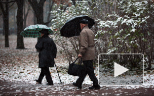 Мокрый снег пришел в Петербург на двое суток