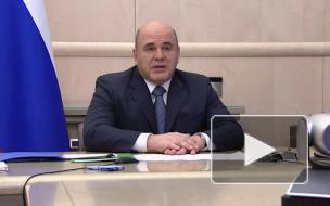 Правительство 28 января рассмотрит новую редакцию лесной стратегии до 2030 года