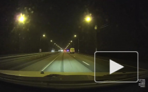 Видео: на Мурманском шоссе водитель насмерть сбил лося