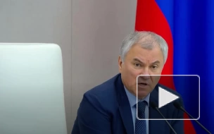 Володин поручил взять на контроль вопрос качества школьного питания