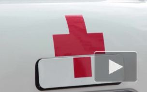 Труп мигранта с расплющенной головой напугал работников БЦ на Пискаревском