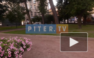 В Адмиралтейском районе после ремонта открылся сад Валентина Пикуля