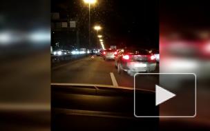 Массовая авария на КАД собрала пробку на 7 километров
