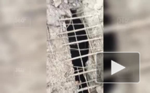 Появилось видео с места обвала дороги на трассе "Дон" под Ростовом