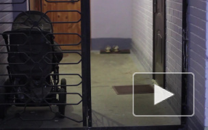 Педофил Альберт изнасиловал двух школьниц в темной парадной на улице Сизова