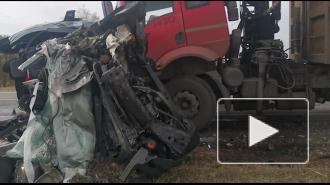 Видео: В Брянской области в ДТП с грузовиком из-за уснувшего водителя погибли 3 человека 