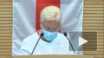 Сейм Литвы принял резолюцию о непризнании выборов в Белоруссии