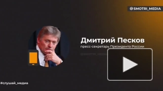 Песков: многие страны готовы стать площадкой для переговоров Путина и Трампа