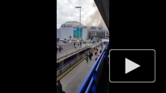 Паника в аэропорту Брюсселя после двух взрывов попала на видео