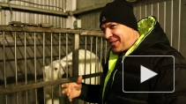 Дрессировщик белых медведей: если мишки решат нас съесть - никто не поможет, пока последний кусок мяса не будет доеден