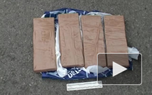 Мажор из Петербурга хранил в БМВ 3 кг гашиша