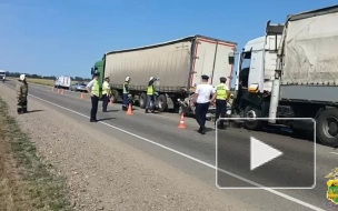 На Кубани возбудили дело по факту ДТП с грузовиками