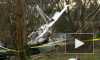В США учебный самолет рухнул на автомобили, три человека пострадали