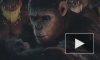 "Планета обезьян: Революция" (2014): фильм режиссера Мэтта Ривза взял в России 600 млн