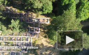 Кладбища Ленинградской области теперь снимают квадрокоптеры 