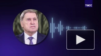 Ушаков: Путин и Уиткофф обсуждали дальнейшее урегулирование на Украине