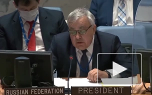 Замглавы МИД РФ назвал ненужными спекуляциями заявления на СБ ООН по обращению Госдумы