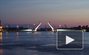 Володарский, Тучков и Биржевой мосты разведут в ночь на 11 декабря