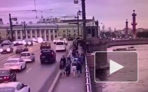 На видео попал прыжок мужчины с Дворцового моста