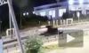 На видео попал момент смертельного наезда Zotye на женщину в Шушарах