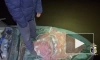 Трое жителей Хабаровского края уличены в незаконной добыче морепродуктов