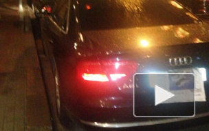 Видео: «срам» тамбовского главы под песню «Губернатор жлоб»