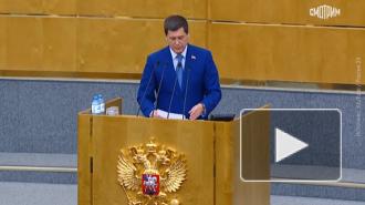 Пакет проектов об ужесточении наказания за реабилитацию нацизма в сети принят Госдумой