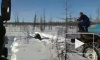 Жуткое видео жестокого убийства медведя в Якутии опубликовали в сети (18+)