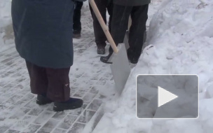 Снежная зачистка - субботник в Красногвардейском районе