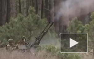 Минобороны: российские десантники уничтожили дрон ВСУ Warmate в Херсонской области