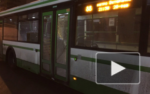 На Стойкости в Петербурге пассажирский автобус обстреляли из травмата