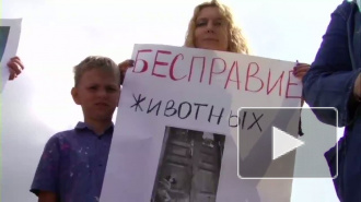 «Нет» жестокости! Митинг против насилия над животными