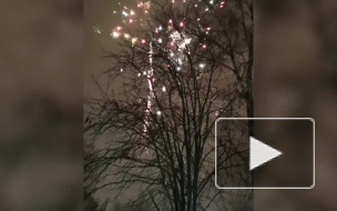 Петербуржцы дождались новогоднего салюта в три часа ночи