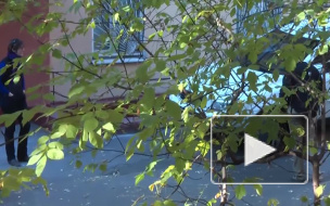 Дерзкая кража в квартире звезды сериала "Счасливы вместе": Дашу Букину оставили без копейки? Дерзкая кража в квартире звезды сериала "Счасливы вместе": Дашу Букину оставили без копейки?