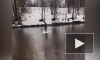 Видео: в Рыбацком мужчины катались на льдине