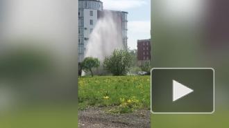 В Пушкине из-под земли забил гейзер