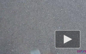 Смольный начнет борьбу с борделями газовыми горелками