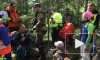Петербургские добровольцы спасли 79-летнюю пенсионерку, которая потерялась в лесу