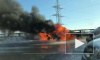 В Петербурге на КАД горит автомобиль 