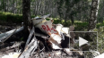 Пропавший легкомоторный самолет найден под Новосибирском, ...