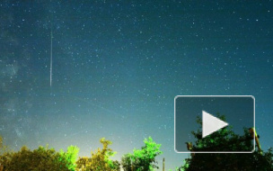 Звездопад с 12 на 13 августа: россияне поделились зрелищными фото и забавными случаями во время Персеид
