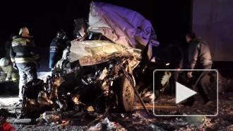 Число погибших в ДТП с автобусом в Самарской области увеличилось до 12 человек