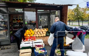 За две недели ККИ Петербурга освободил 17 участков от незаконных торговых объектов