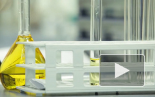 Названы три самые опасные инфекции в России