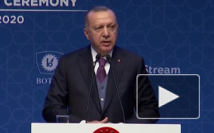 Эрдоган предложил Путину оставить Турцию "один на один" с Сирией