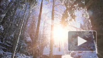 Вильфанд назвал причины теплой зимы